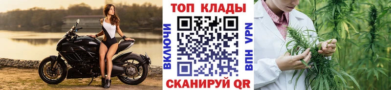 Названия наркотиков Куртамыш Каннабис  КОКАИН  ГАШИШ  APVP  Меф мяу мяу 